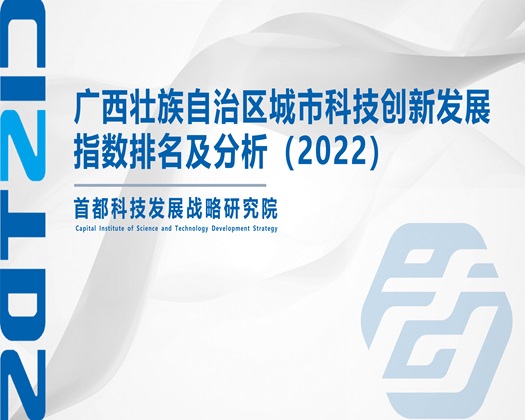 大奶子操逼网站视频【成果发布】广西壮族自治区城市科技创新发展指数排名及分析（2022）